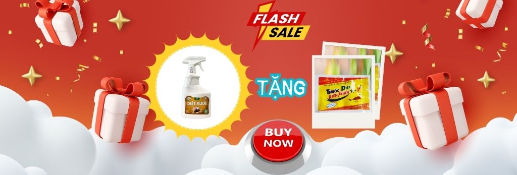 SALE THÁNG 12