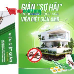Thuốc diệt gián AMB