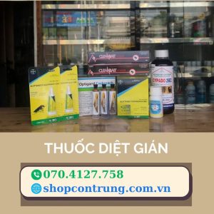 thuốc diệt gián