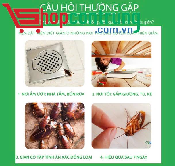 viên diệt gián AMB (4)