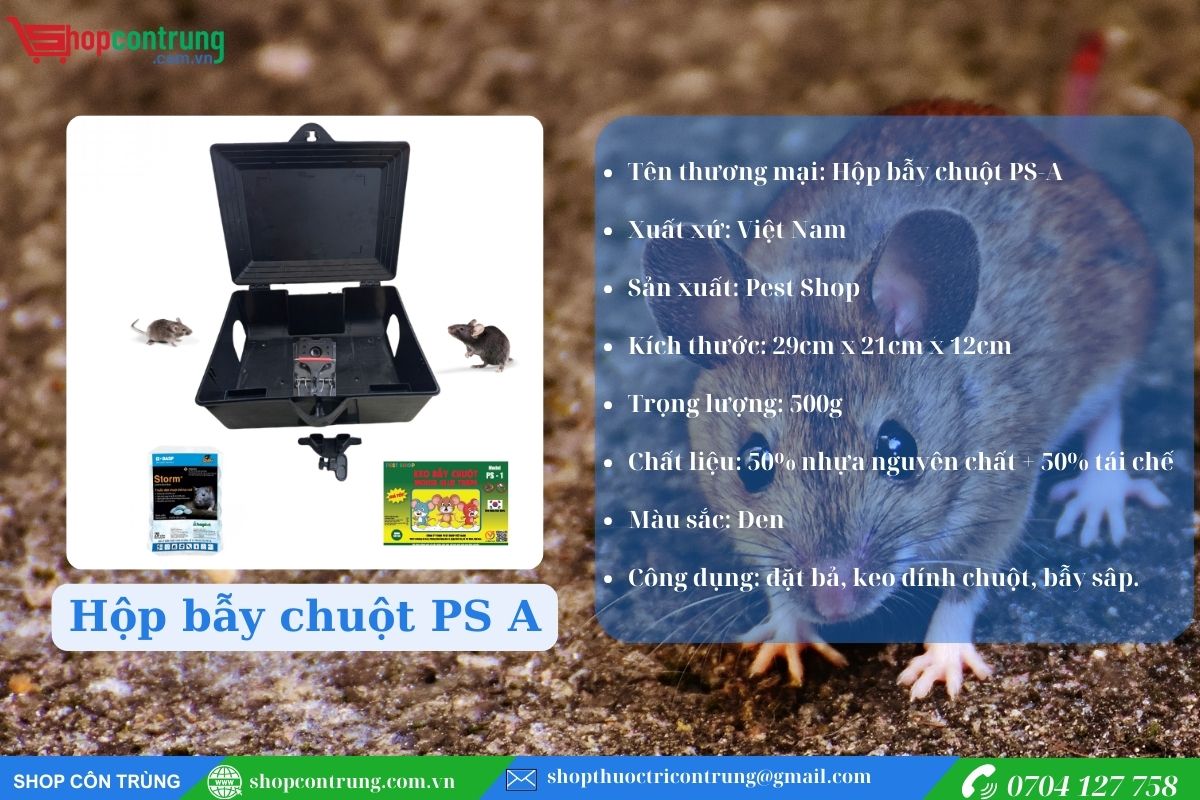 Hộp bẫy chuột PS A