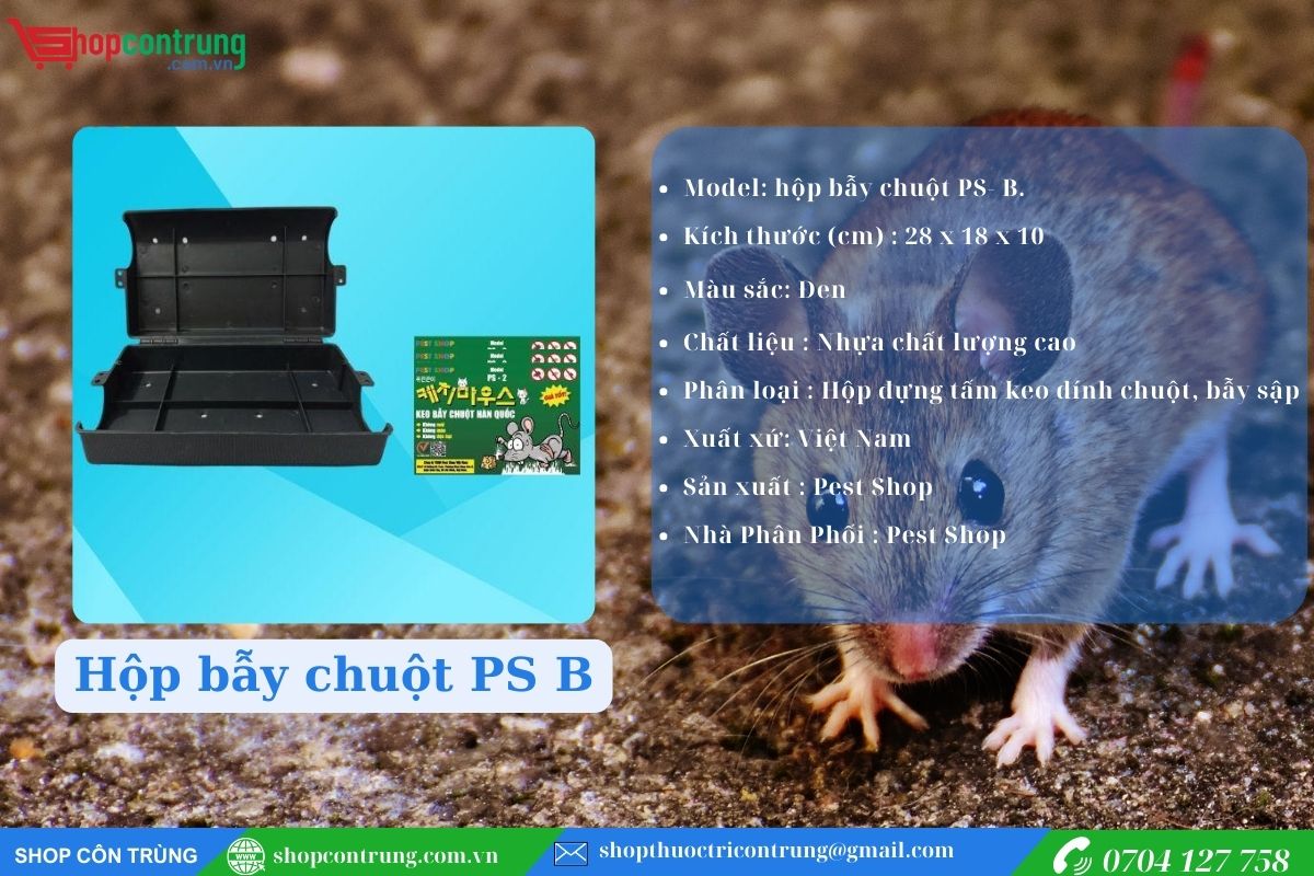 Hộp bẫy chuột PS B