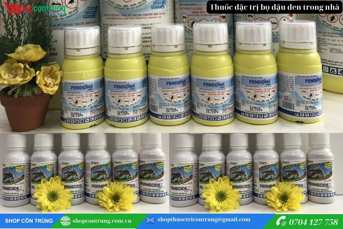 Mua thuốc diệt bọ đậu đen