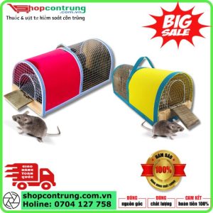 Lồng bẫy chuột thông minh 2 ngăn