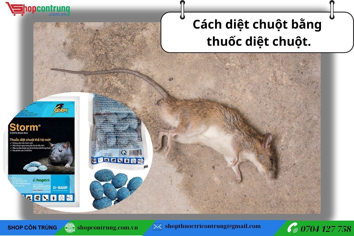 Cách trừ chuột bằng thuốc diệt chuột.