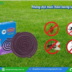 Nhang diệt muỗi Raid hương lavender