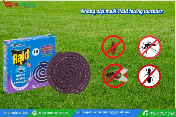 Nhang diệt muỗi Raid hương lavender