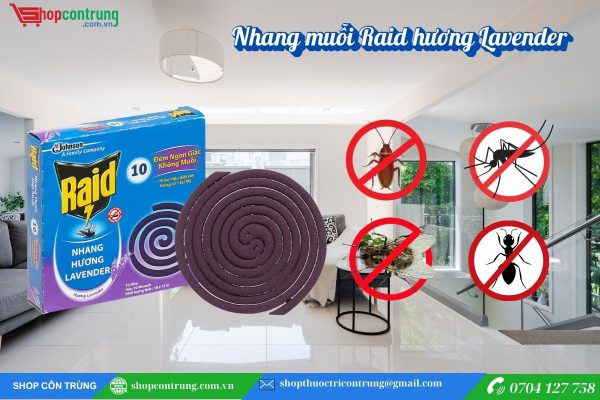 Nhang diệt muỗi Raid hương lavender