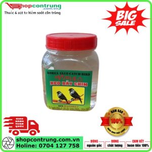 KEO DÍNH CHIM, KEO BẪY CHIM - CHẤT LƯỢNG HÀN QUỐC