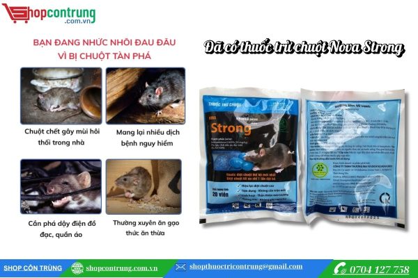 thuốc trừ chuột Nova Strong