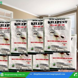 Mua Thuốc Diệt Bọ Chét, Kiến, Gián KillPest Chính Hãng,