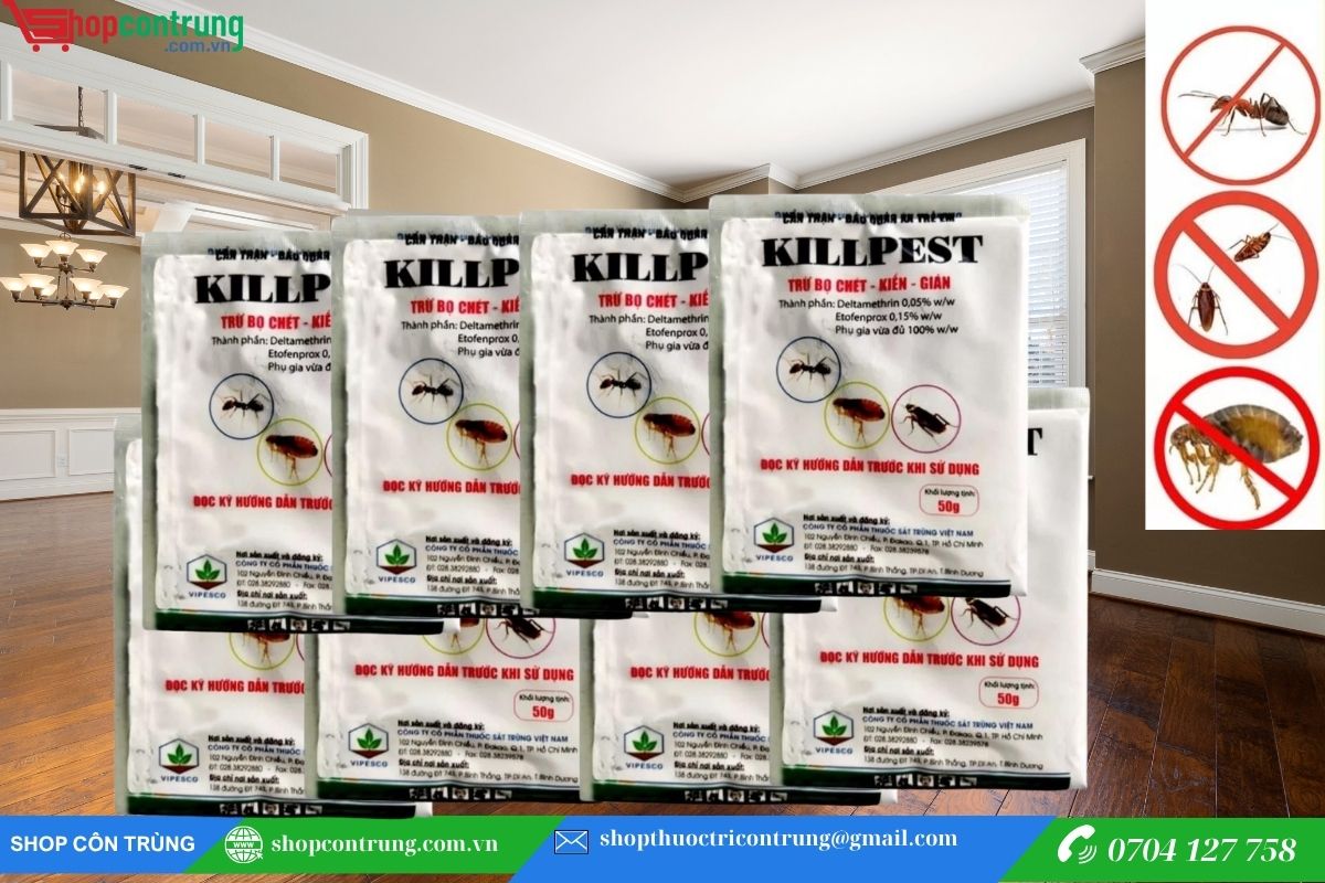 Mua Thuốc Diệt Bọ Chét, Kiến, Gián KillPest Chính Hãng,