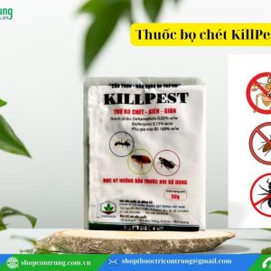 Bột diệt bọ chét kiến gián KillPest