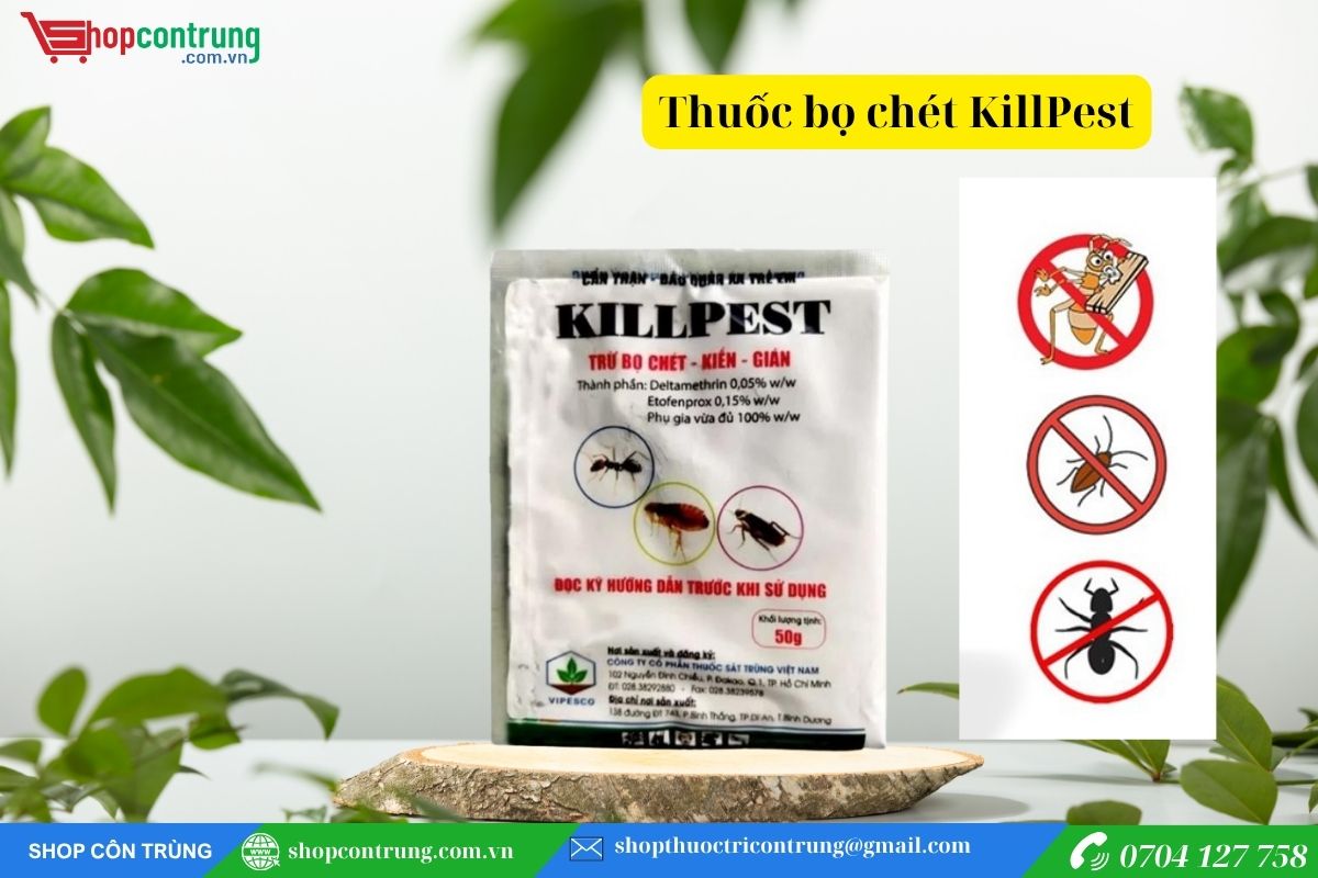 Bột diệt bọ chét kiến gián KillPest