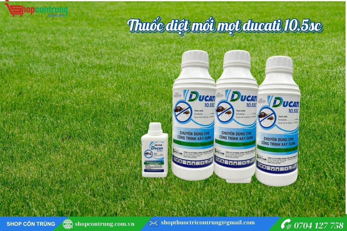Thuốc Diệt Mối Mọt Ducati 10.5SC