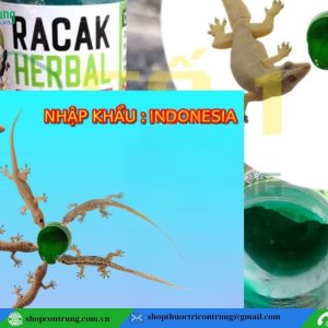 gel diệt thằn lằn RACAK HERBAL