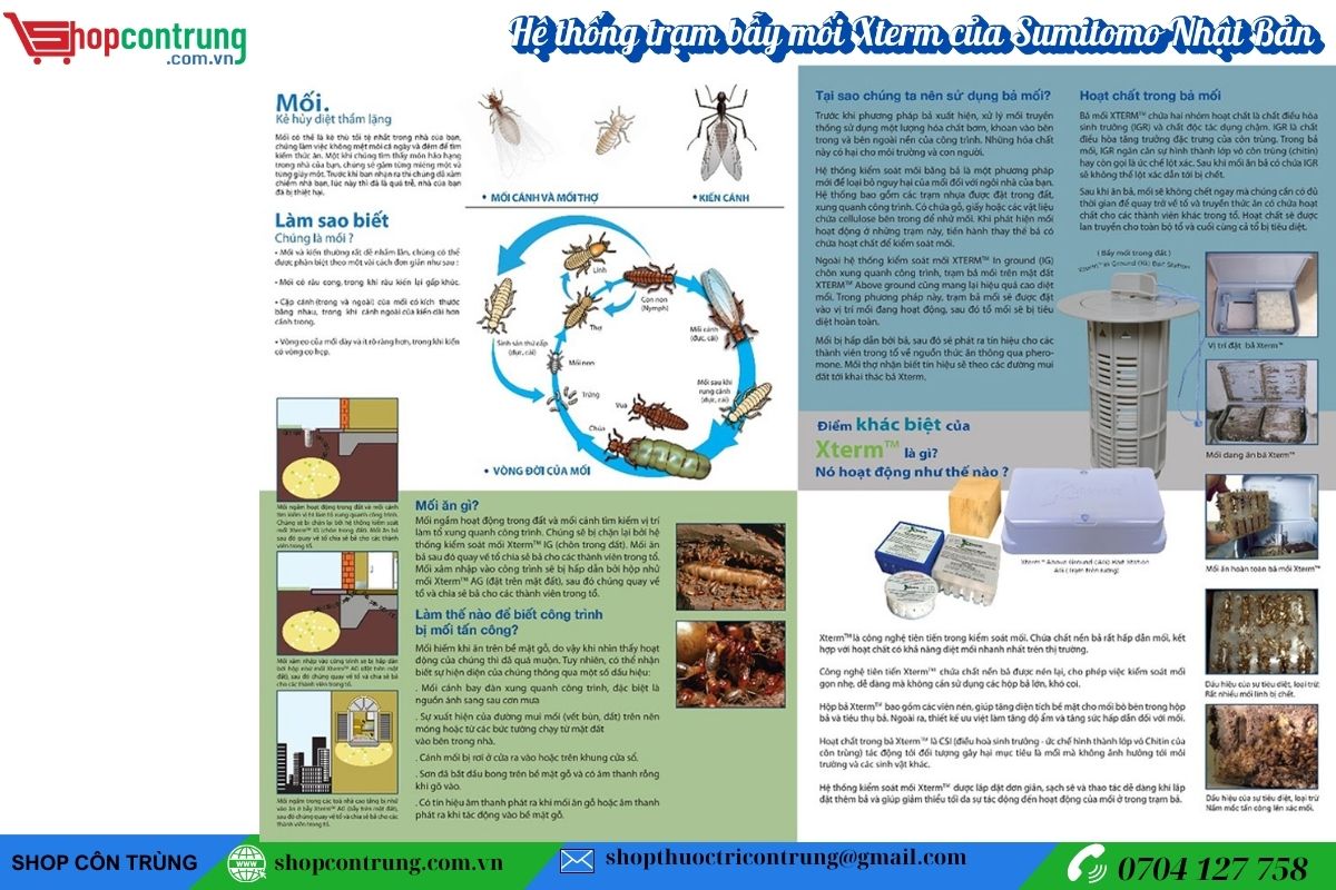 Hệ thống trạm bẫy mối Xterm của Sumitomo Nhật Bản (2)
