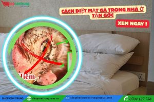 Cách Diệt Mạt Gà Trong Nhà Ở Tận Gốc