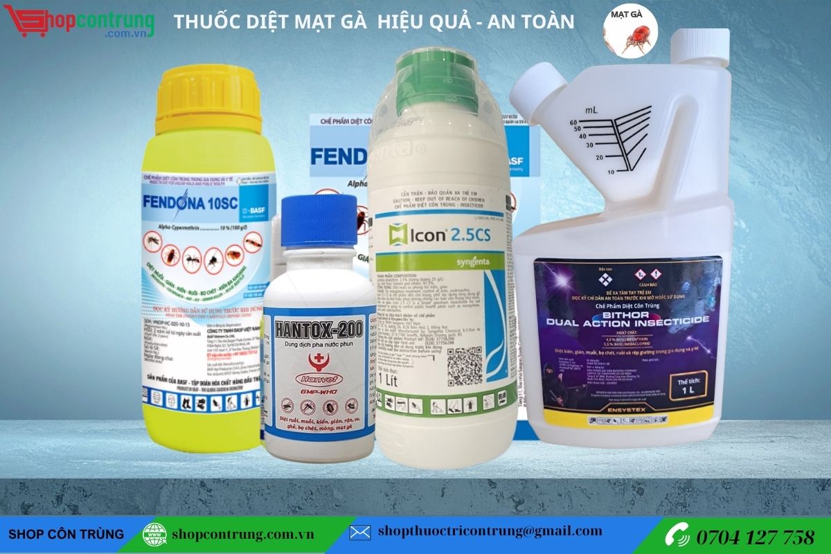 Sử dụng thuốc đặc trị mạt gà