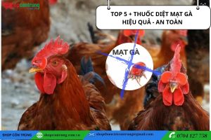Thuốc diệt mạt gà hiêu quả và an toàn