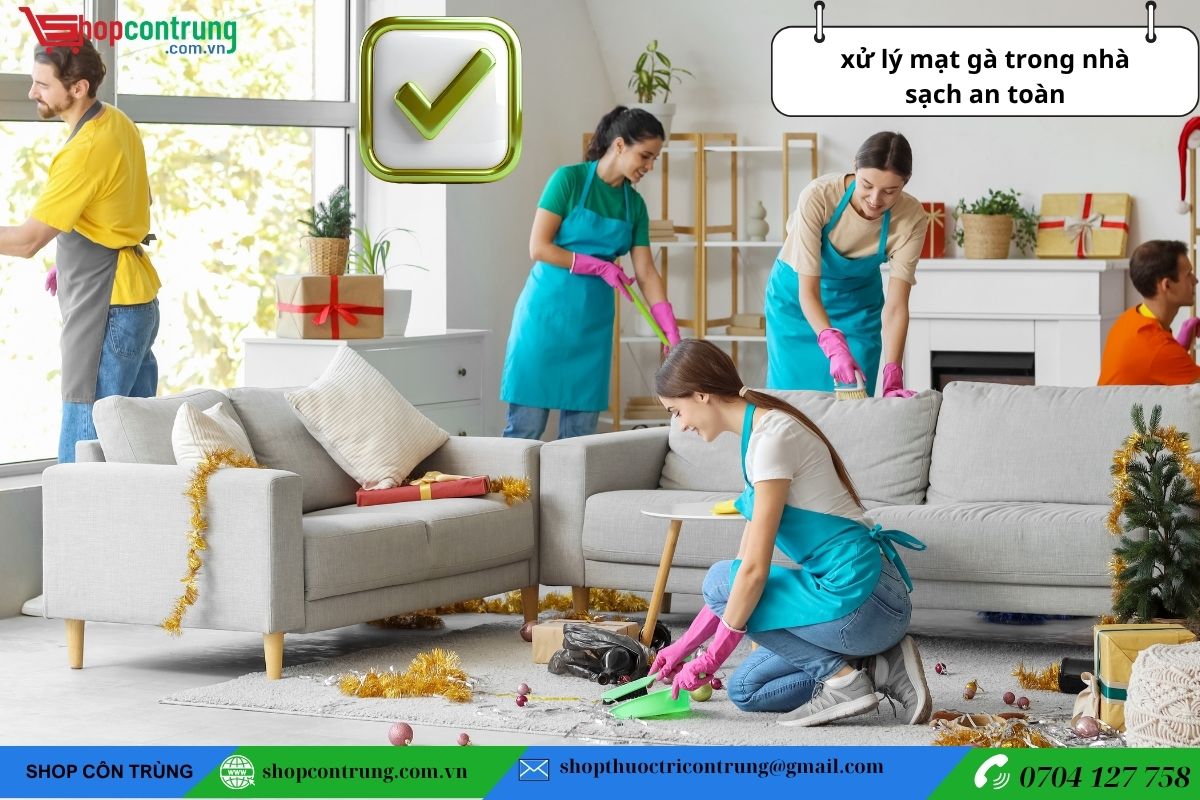 Cách diệt mạt gà tại nhà