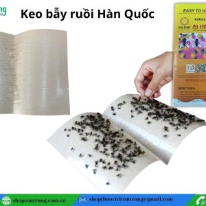 Tấm Keo dính Ruồi Hàn Quốc