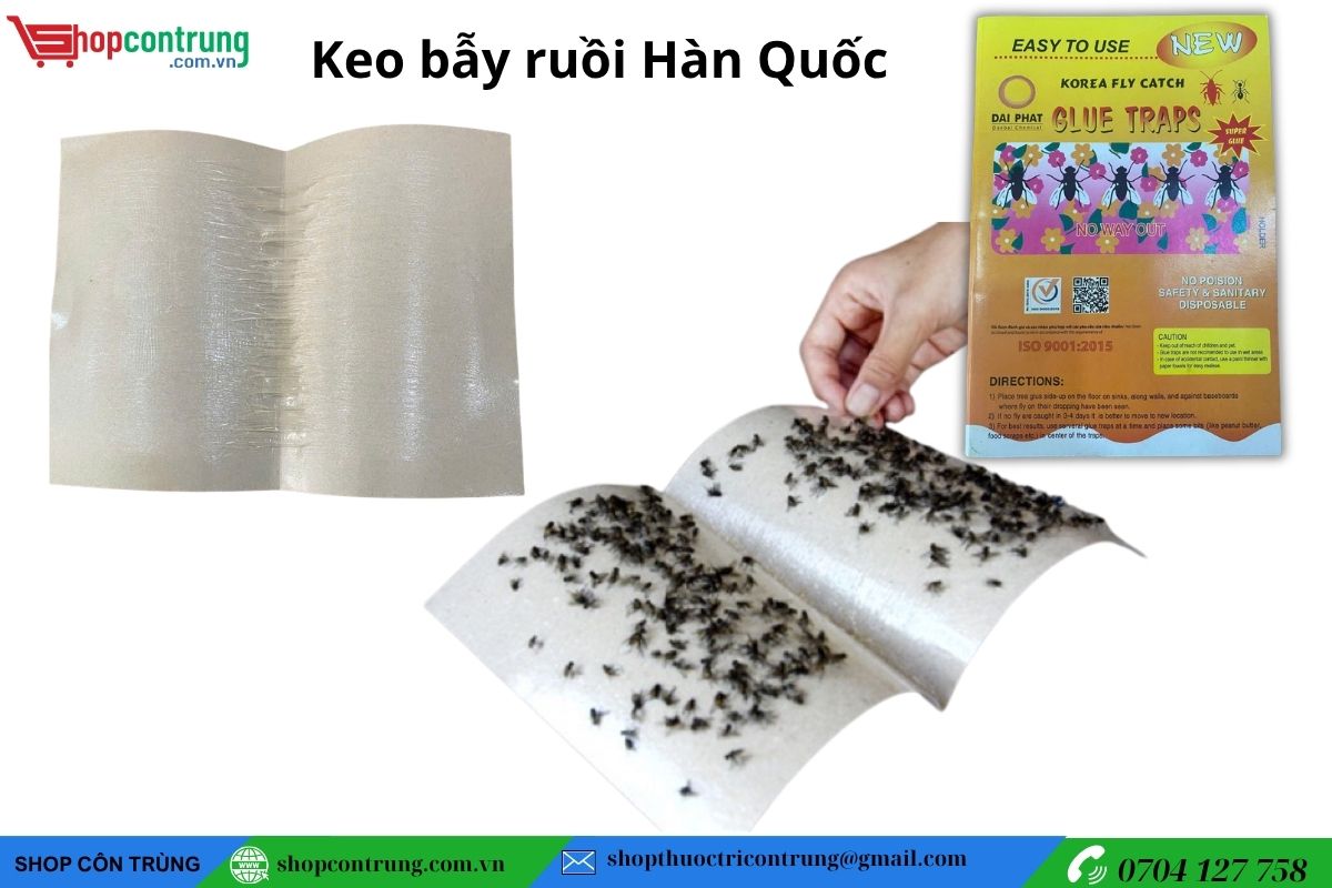 Tấm Keo dính Ruồi Hàn Quốc
