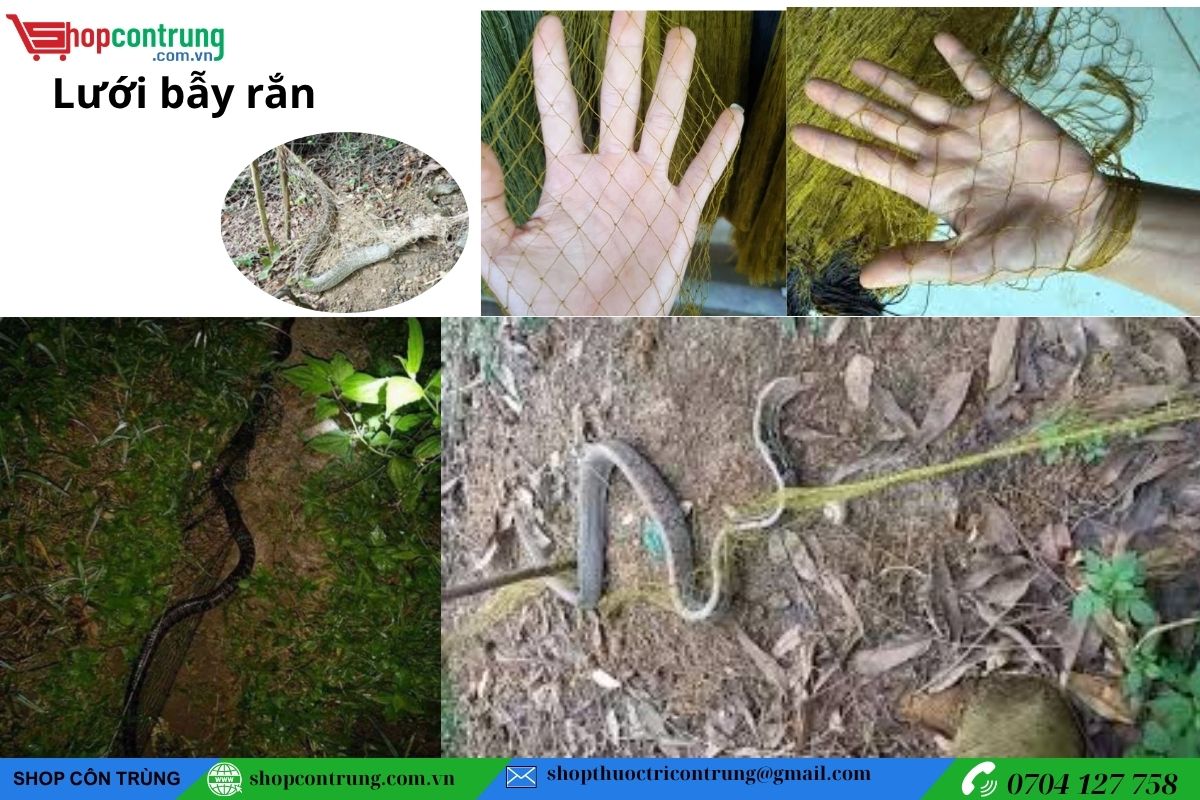 Lưới bắt rắn, bẫy rắn