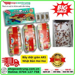 Bẫy diệt gián Nhật Bản Hoi Hoi hộp 3 miếng