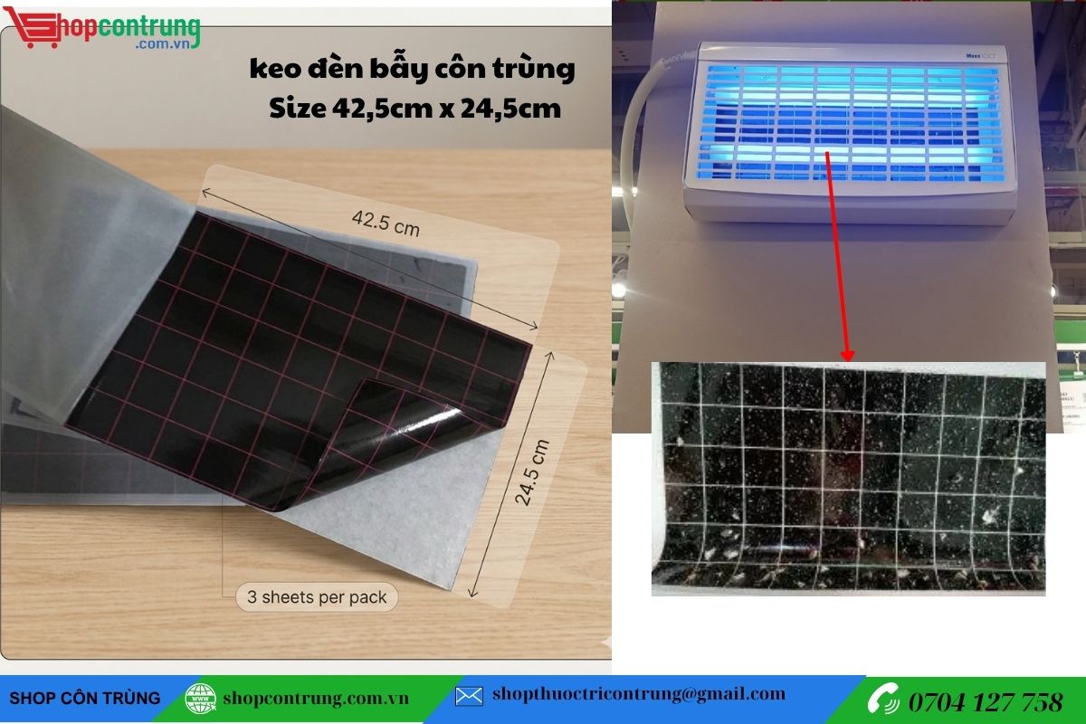 Miếng keo đèn diệt côn trùng 42.5cm x 24.5cm