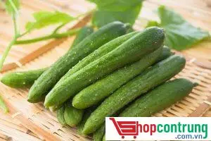 Diệt gián bằng quả dưa chuột