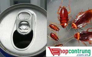 Mẹo diệt gián bằng lon bia uống dở