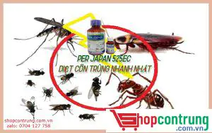 Công dụng của thuốc diệt côn trùng PER JAPAN 525 EC
