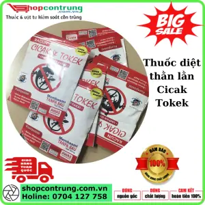 Thuốc diệt thằn lằn Cicak Tokek