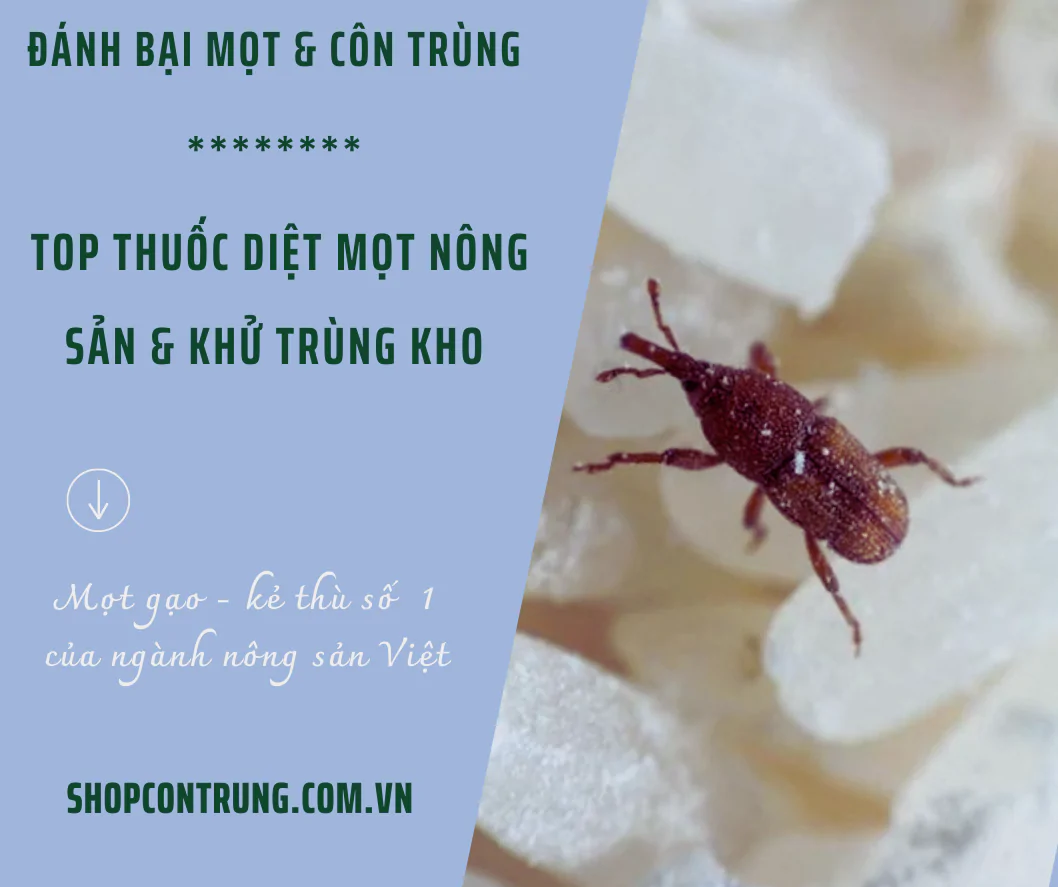 Thuốc diệt mọt nông sản & khử trùng kho